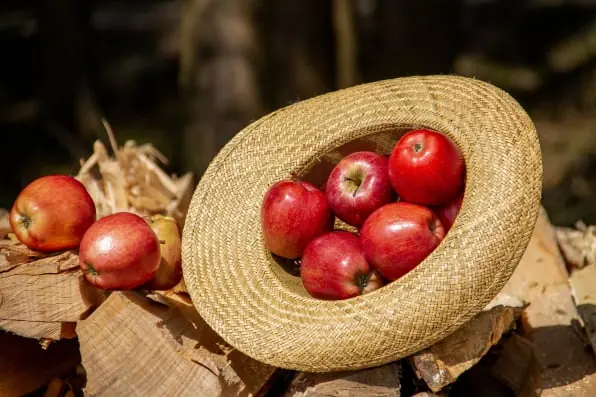 Apple packing software for Australian packers 2