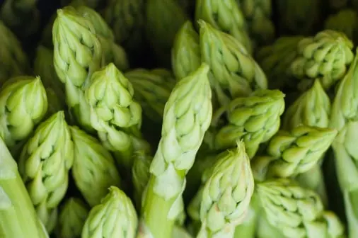 Asparagus packing software for Australian packers 2