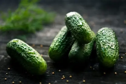 Cucumber packing software for Australian packers