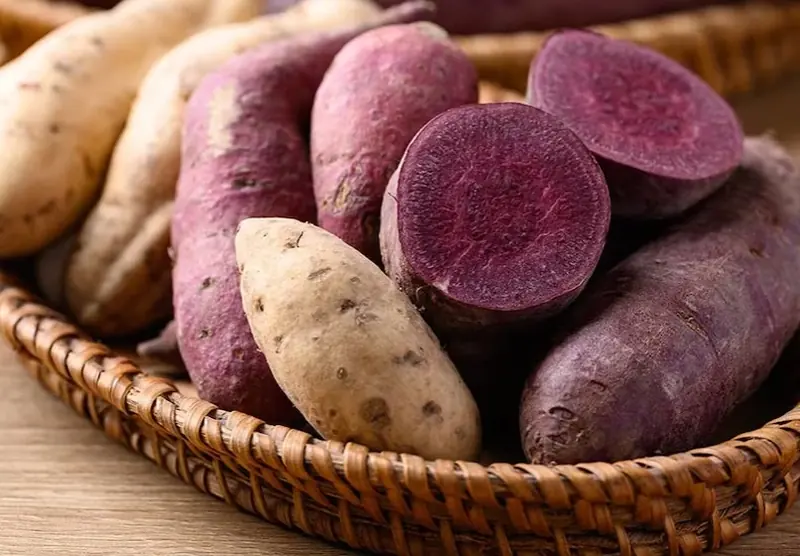 Sweet potato packing software for Australian packers 3