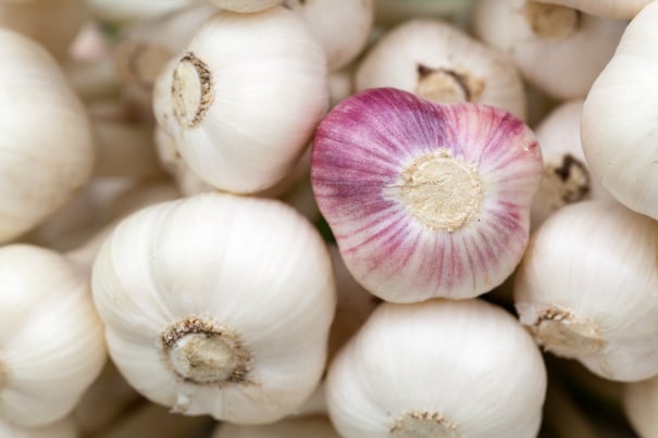 Garlic packing Australia