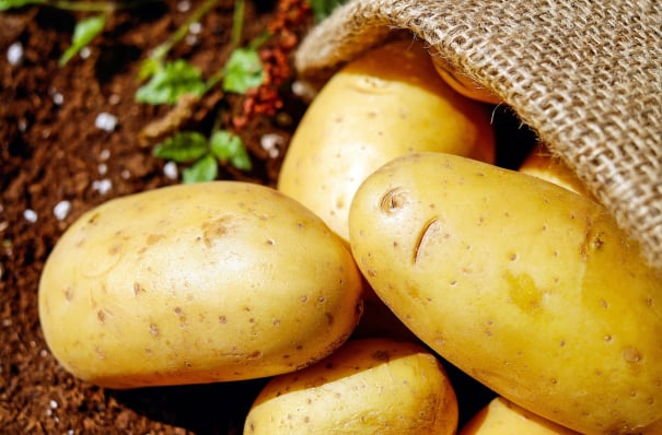 Potato  packing Australia