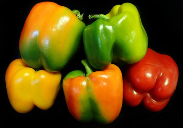 Capsicum packing Australia
