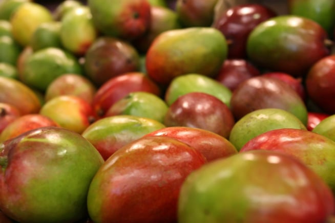 Mango packing Australia
