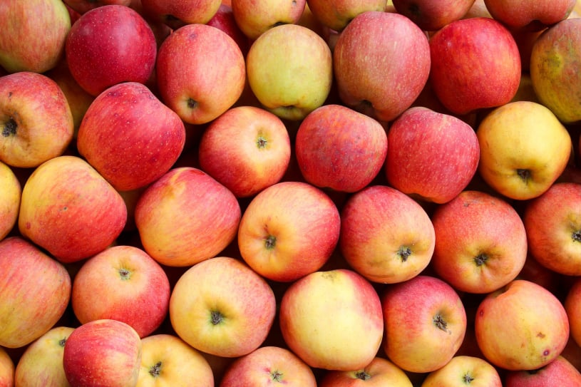 Low cost fresh produce blockchain Australia