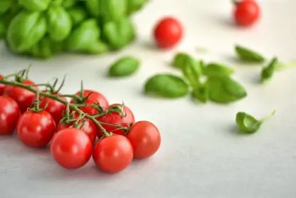Tomato Food Safety app