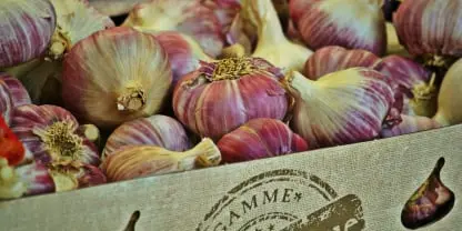 Garlic Food Safety app