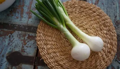 Onion Food Safety app