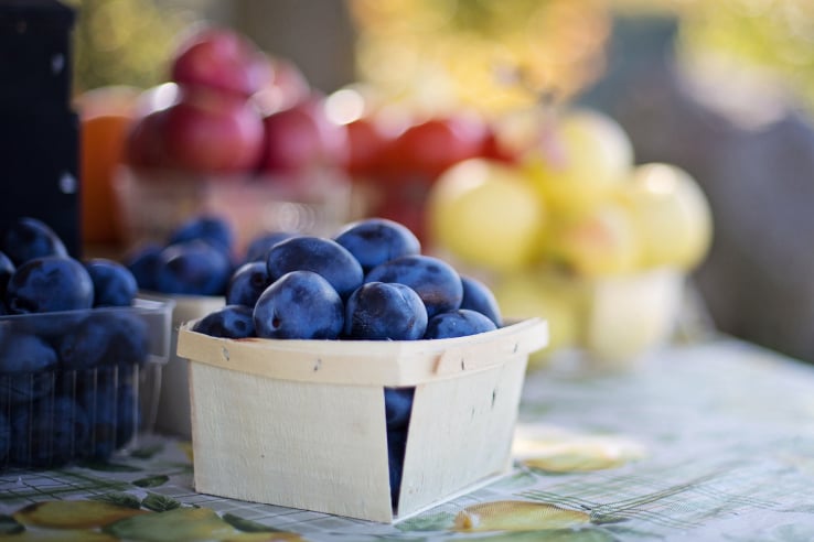 Free PTI labels and traceability