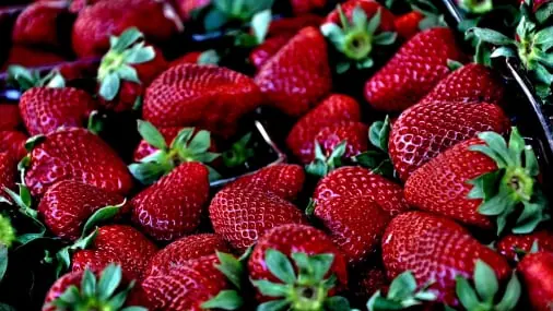 Strawberry quality inspection app – sample 2
