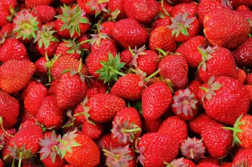 Strawberry quality inspection app