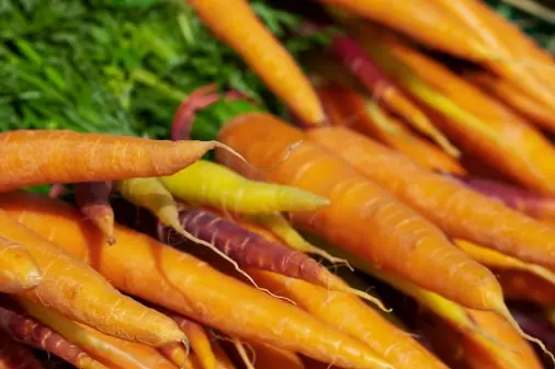 Carrot packing app