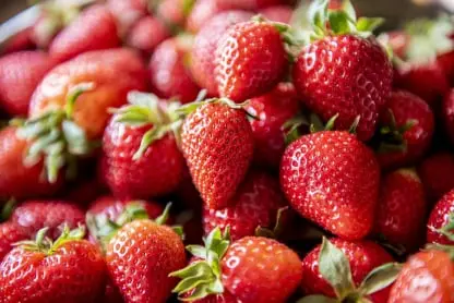 Strawberry packing app