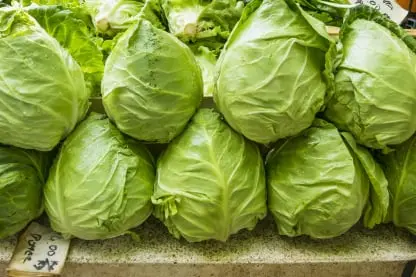 Lettuce packaging app