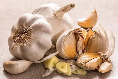 Garlic packing app