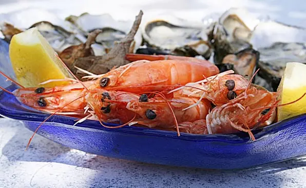 Seafood Packing App for exporting and value adding