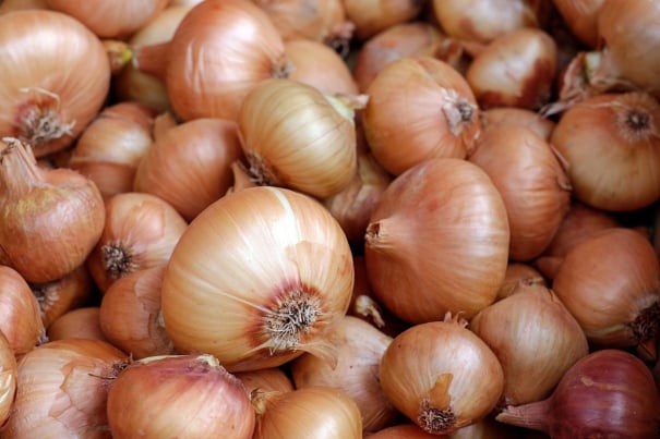 Onion packing Australia