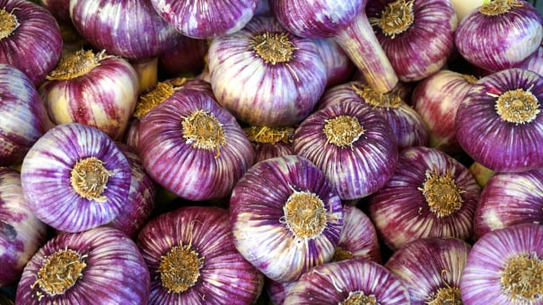 Garlic packing Australia