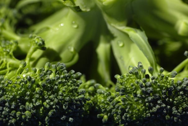 Broccoli packing Australia