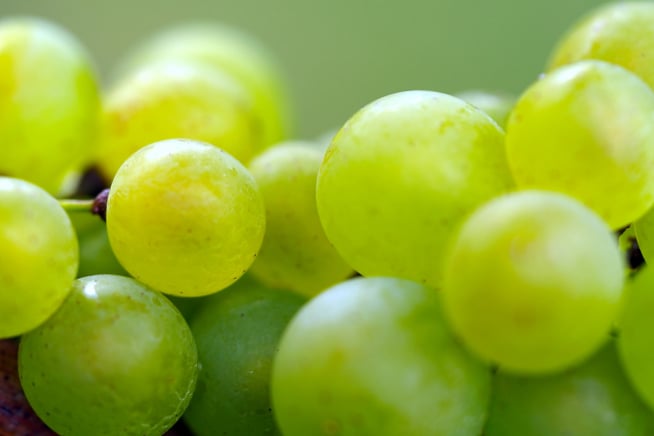 Australian fresh produce traceability app