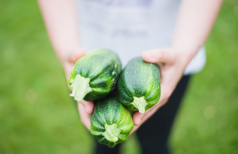 Australian fresh produce quality control