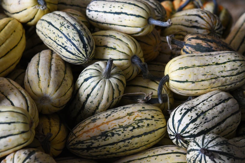 Low cost fresh produce blockchain Australia