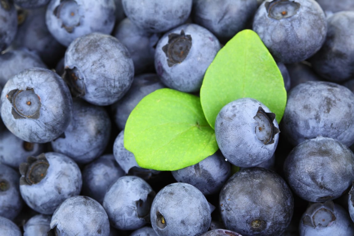 Xero Fresh Produce Packing Software
