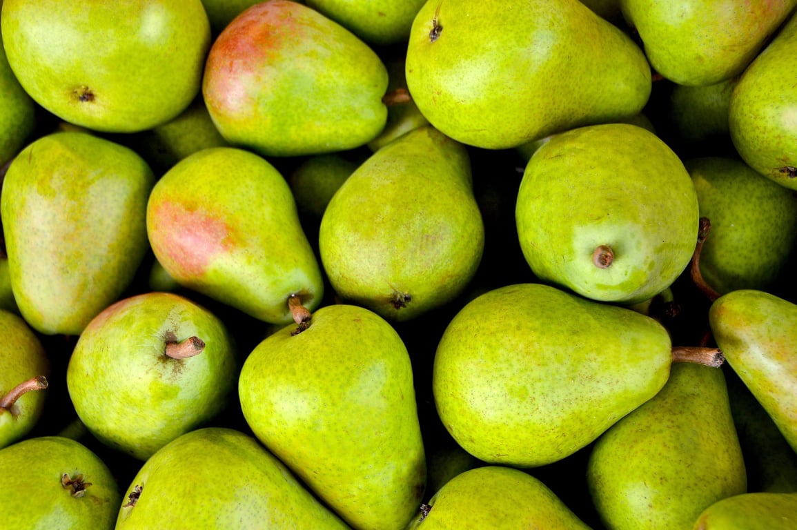 QuickBooks Fresh Produce Software