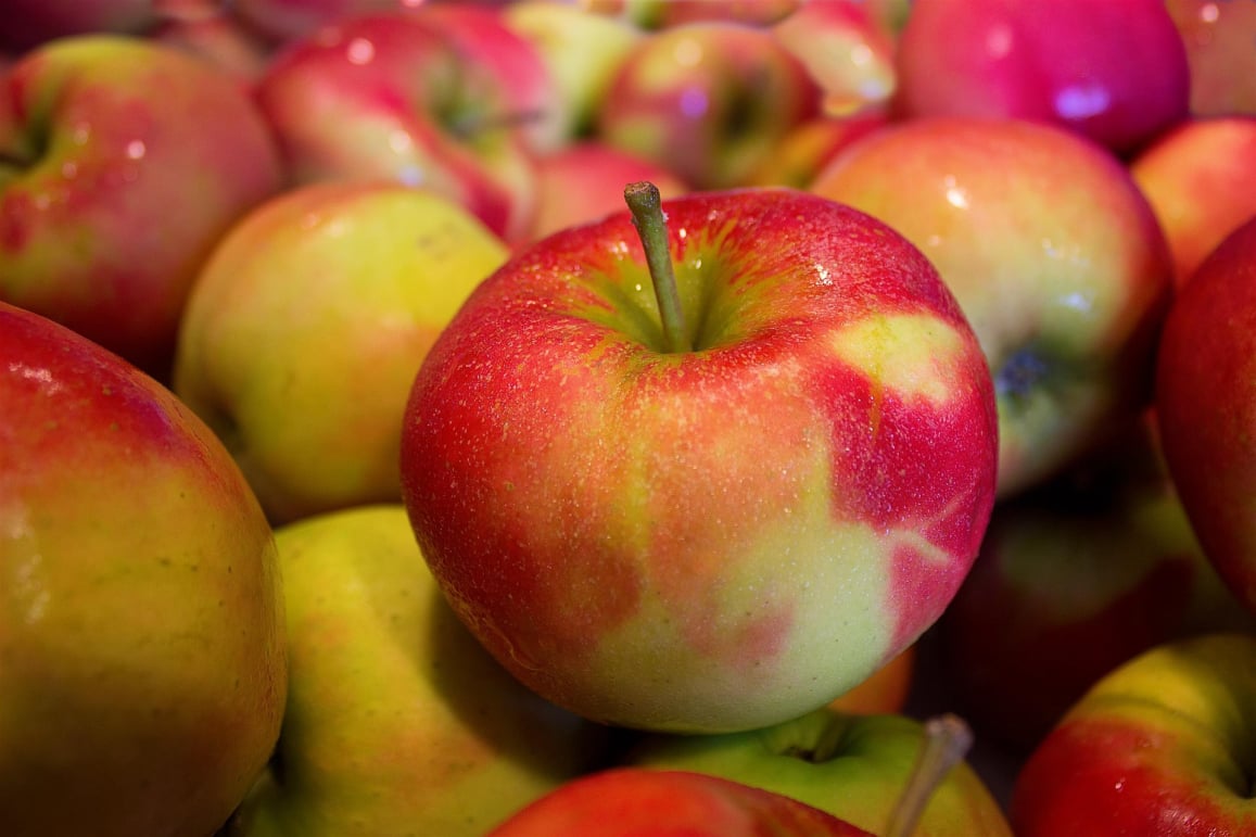 Xero Fresh Produce Inventory Traceability