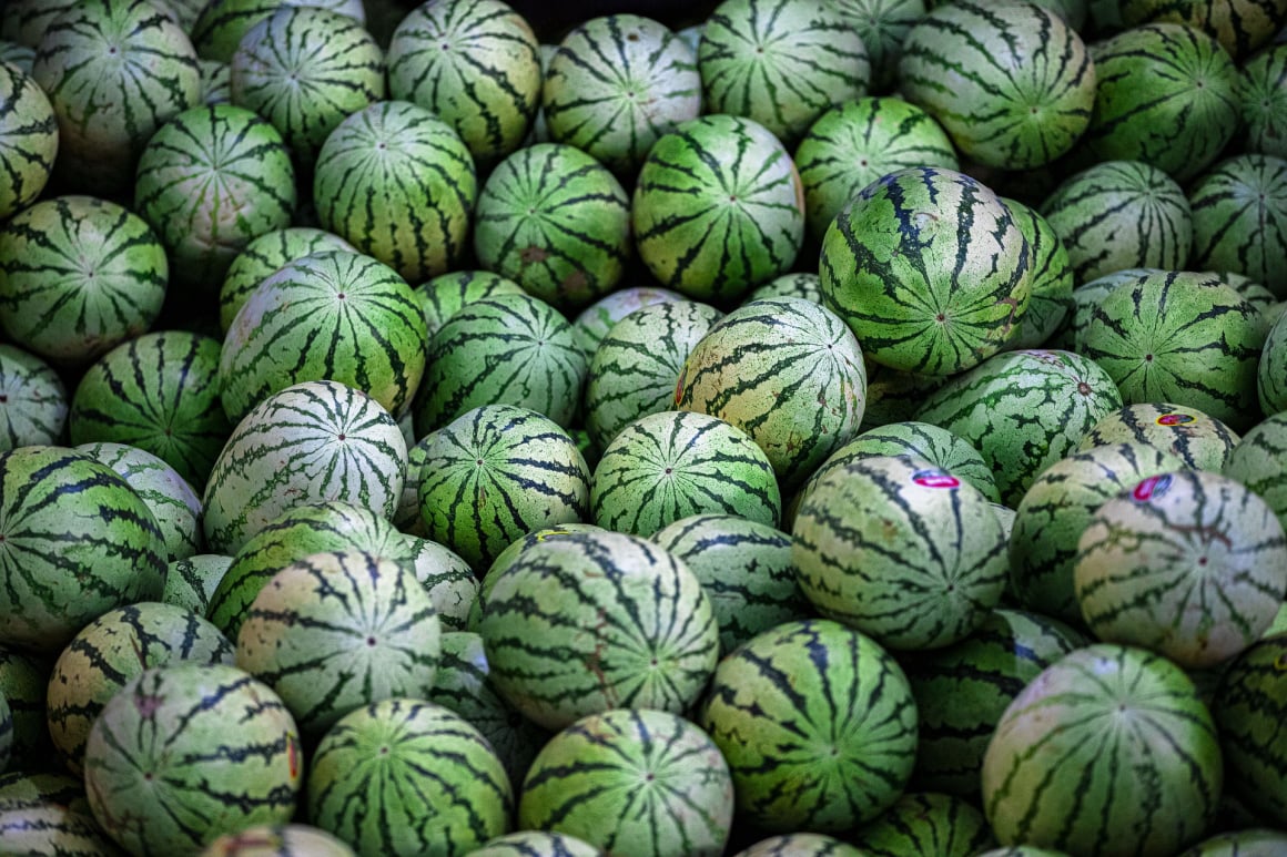 Sage fresh produce software for fruit and vegetable packers
