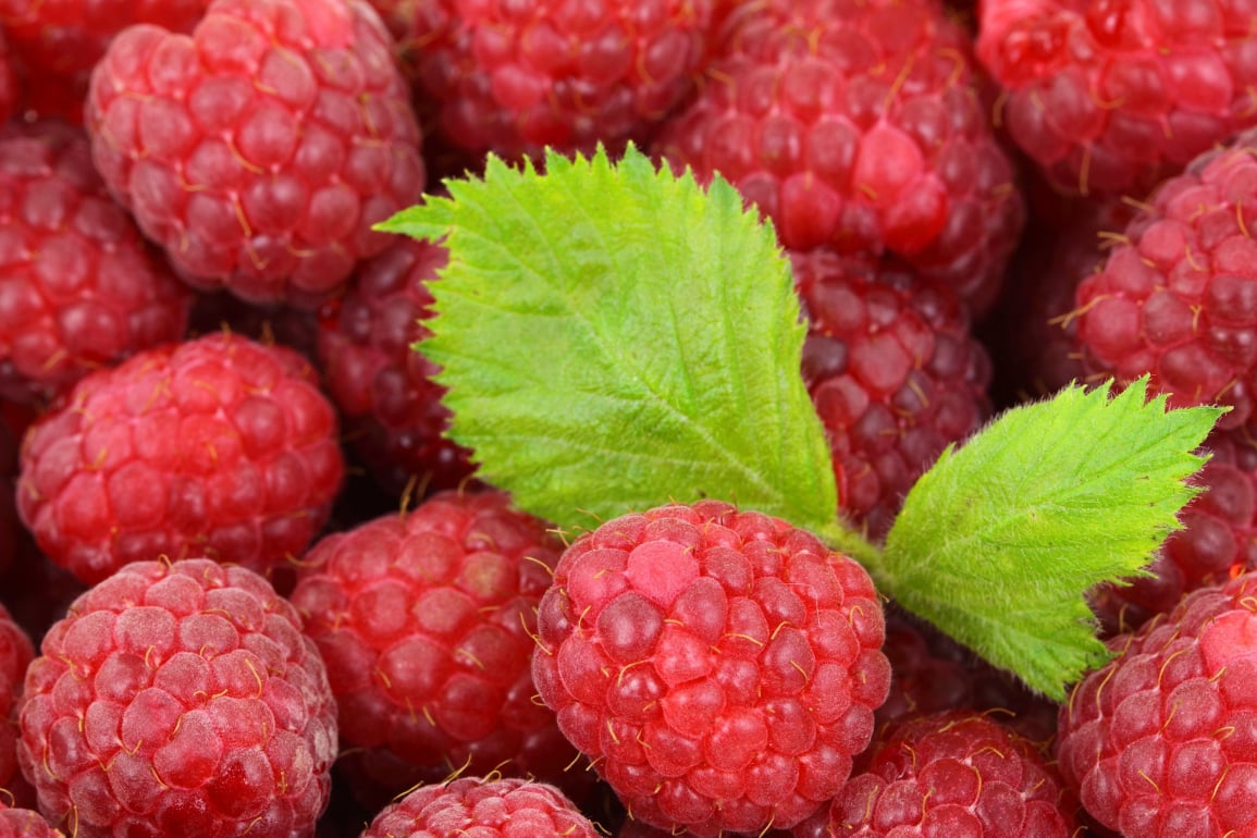 Xero fresh produce inventory traceability
