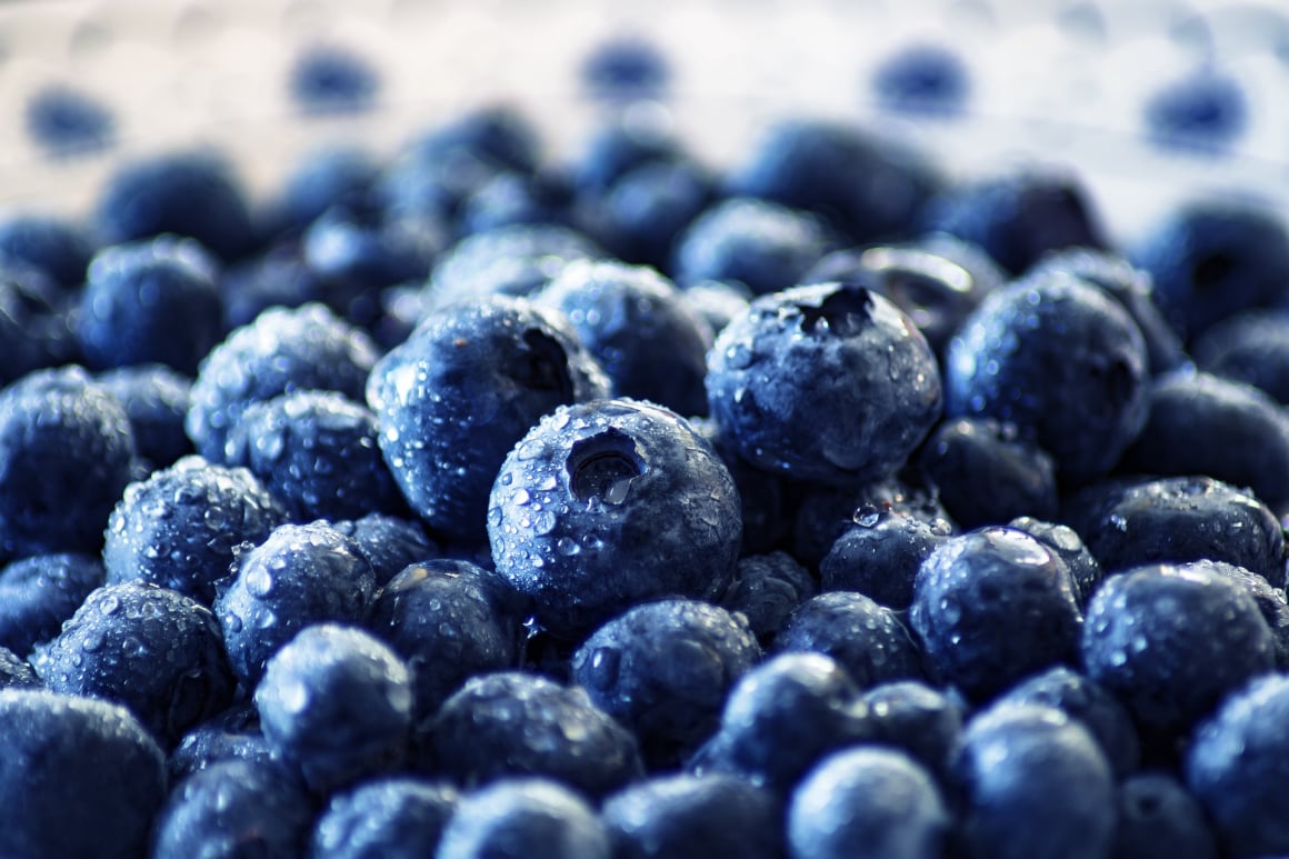 Sage fresh produce software for fruit and vegetable packers