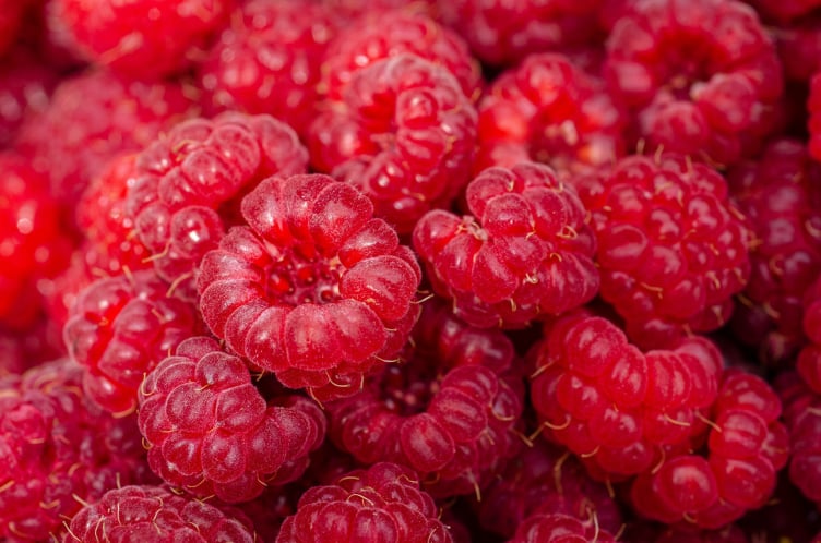 Fresh produce traceability labels