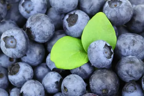Xero fresh produce packing software