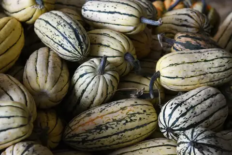 Sage fresh produce inventory traceability