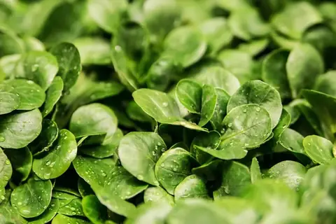 QuickBooks fresh produce integration