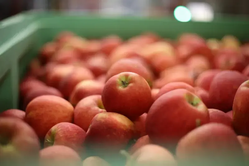 Produce labeling software for PTI and GS1 labels