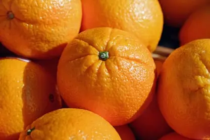 Orange Fresh Produce Inventory Traceability Software