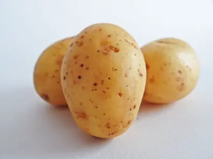 Potato Fresh Produce Inventory Traceability Software