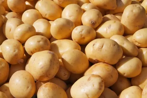 Potato inventory storage Fresh Produce Inventory Traceability Software 