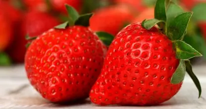 Strawberry Fresh Produce Inventory Traceability Software