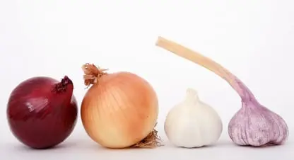Onion Fresh Produce Inventory Traceability Software