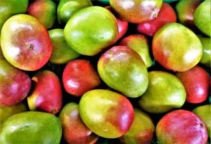 Mango Fresh Produce Inventory Traceability Software