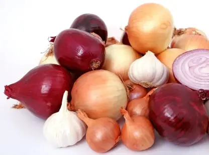 Onion inventory storage Fresh Produce Inventory Traceability Software