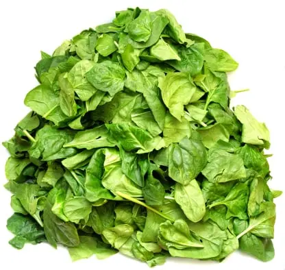 Spinach Fresh Produce Inventory Traceability Software