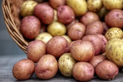 Potato Fresh Produce Inventory Traceability Software