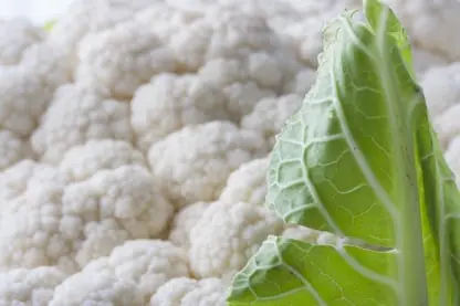 Cauliflower Fresh Produce Inventory Traceability Software