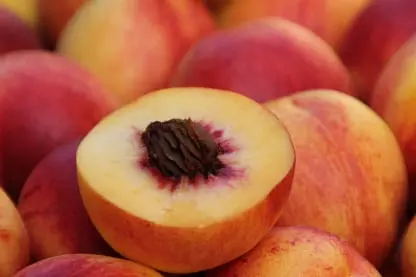 Stone fruit Fresh Produce Inventory Traceability Software