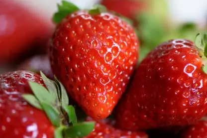Strawberry Fresh Produce Inventory Traceability Software