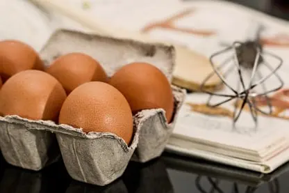 Egg quality inspection app